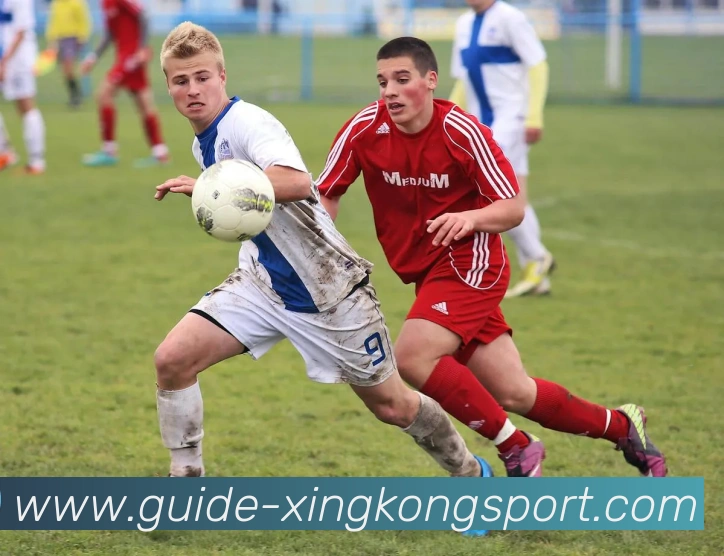 星空体育平台生态图